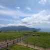 🐄八丈富士ふれあい牧場　絶景の牧場です😊