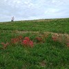 お彼岸の日、川辺にて　On the day of the Higanbore, on the river side　在Higanbore的那一天，在河边