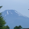 富士サファリパーク探訪。