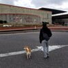 世界旅行に行ってきたよ。