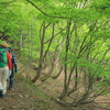 蛇谷ヶ峰・新緑編