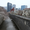 神田川支流の暗渠