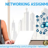 Connect with experienced writers via Networking Assignment Help online services