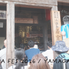 山形・寺フェス2026に行ってきた！銀杏BOYZと青葉市子が響く若宮寺の最高の一日