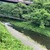 7月6日(日)秩父フライフィールドの河川情報