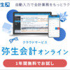 確定申告がはじめての時に青色申告と白色申告って何が違うんだ？について