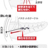 慢性膵炎　膵石、衝撃波で破砕