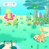 ポケモンスリープ＊その５