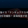 幻の深海イカ「ナンキョクテカギイカ」生きた姿を初撮影！深海探査が変える未来