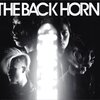 THE BACK HORNの人気曲ランキングがしっくりこない話