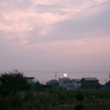 浜ちゃん９０歳の散歩道(１２８４)　　　朝夕の散歩は涼しいうちの短時間とした