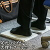 夏の足元　大理石と猫草