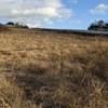 14円×120kW過積載 & 高額土地 案件のキャッシュフロー②(融資期間17年)