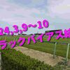 2024,3,9～10 トラックバイアス結果 (中山競馬場、阪神競馬場、中京競馬場)