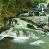 🏞魚止めの滝　～家族旅行にて訪問～