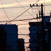 猫にとっても暑い