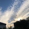 いよいよだ。