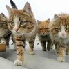 いつか、本当の自分と向き合わなければならない時が来る