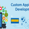 Customer Software Development Services And Their Utility For A Business