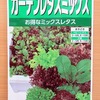 5種類のレタスが混ざった「ガーデンレタスミックス」を半水耕栽培。ベビーリーフとして収穫予定です