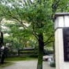 1710　香雪美術館　利休と剣仲　前期