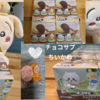 【どこで売ってる？イオン？発売日は？通販は？BOXのアソートは？シークレットは？】「チョコサプ　ちいかわ」大人買い！BOX開封・詳細レポ