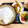 松石（高田馬場）【超冷】冷シャリシャリそば＋松ゲソ＋いんげん天