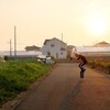 飛行機が飛んで行く夕方