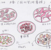 中国浙江省の食２（杭州）