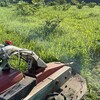畑の草刈りが続きます🌿🌿🌿