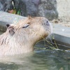2023年放送最高アニメ/アニソン10選&感想