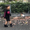 見守る子育て