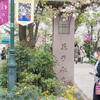 ［宝塚・花のみち］桜と新しい宝塚ホテル