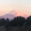 今朝の景色