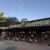 WDW旅行記その3 Disney's Animal Kingdom (11/11)