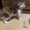 身体は食べたモノで出来ています。