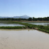 田植えができるように田んぼを仕上げる日々