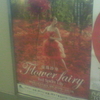 列車で行こう　高麗の秋を真っ赤に染める情熱の花園へ。　曼珠沙華 Flower Fairy Red Spider lily