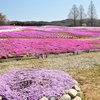 花夢の里：花めぐりシリーズ ⑭（広島県世羅郡世羅町）