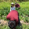 5月12日(日) 里山活動報告