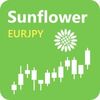 よだれが出るほど欲しいEA　Sunflower EUR/JPY と　Swallow