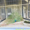 小さな動物園がある公園『大池公園』！