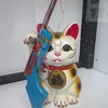 ９月２３日　黒川温泉から熊本空港へ　＆　９月２７日　文京区の猫さま