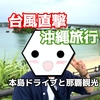 【台風直撃】ヘキサが3泊4日で沖縄本島の旅行に行ってみた〜沖縄本島縦断ドライブと那覇市街観光〜