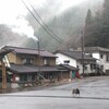 久しぶりの雨