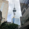 NZ2. ワイヘキアイランドへ。