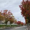 土俵が狭い