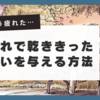 【婚活疲れ、もう限界…】そんなあなたへ贈る、心が軽くなる12個の方法