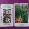 ペンタクルスの10のカード【The Herbcrafter's Tarotとライダーウェイト版を比べてみた】
