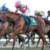 競馬初心者必見☆馬券予想🔥〜京成杯〜良血馬が花を咲かせる